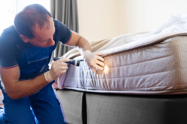 Best Bed Bug Extermination  in Lakeview, NY